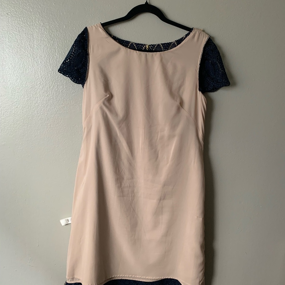 Eliza J Scalloped Lace Navy Sheath Dress Size:10 NWOT Gold Zipper On Back. - Picture 9 of 10